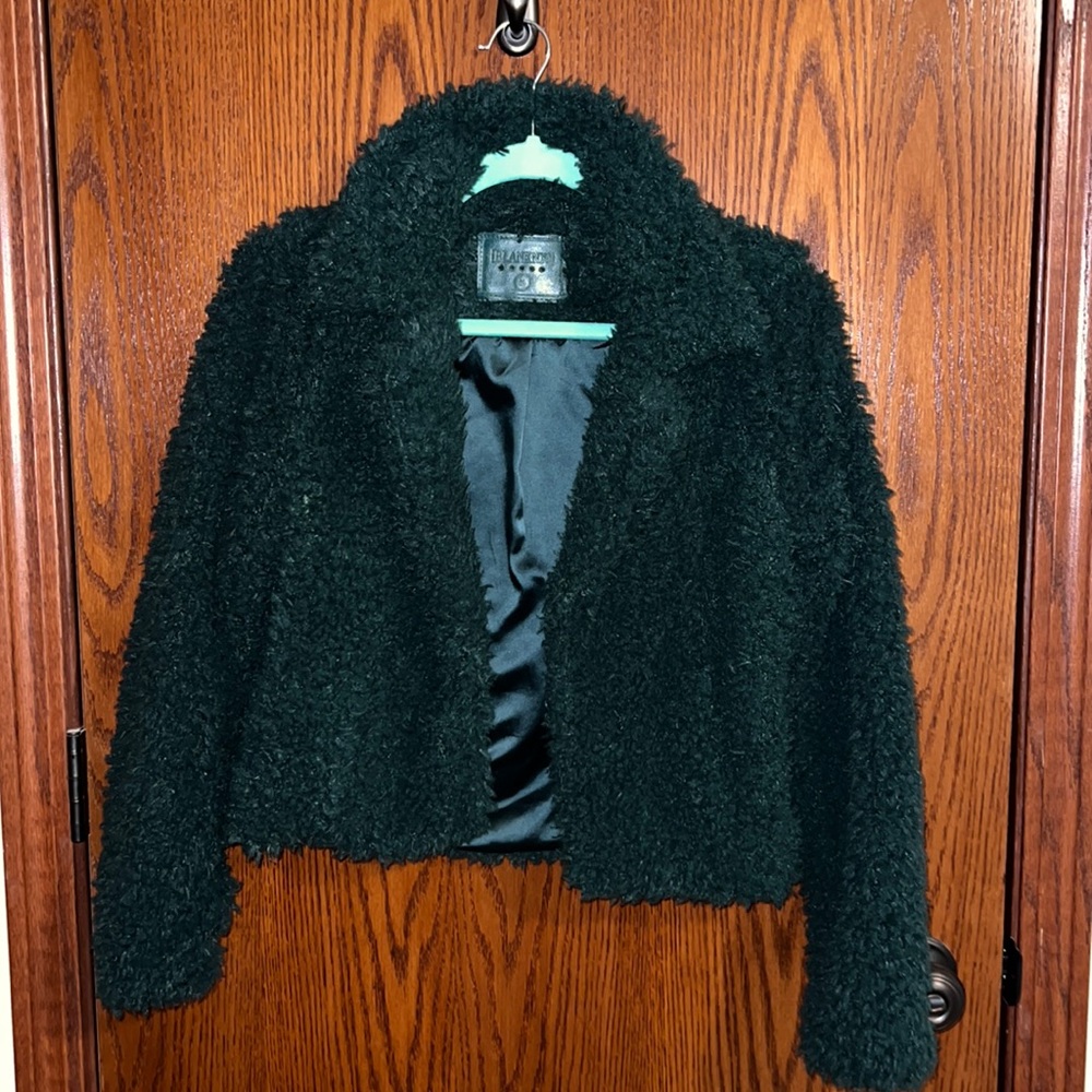 BLANK NYC FAUX FUR TEDDY COAT - GREEN